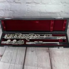 2025年最新】フルート Pearl PF-501の人気アイテム - メルカリ