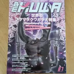 ビークワ　 87号　フタマタクワガタ