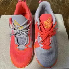 NIKE バッシュ