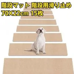Item thumbnail for item a57dbd49-00d4-41ee-9c97-4c95f3742f4c