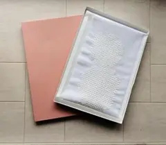 Item thumbnail for item 7031d391-3ebf-4005-805b-a81b84c3187c