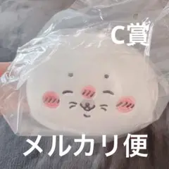 ナガノの水族館 アザラシ ぬいぐるみ C賞