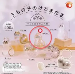 【正規品】うちの子のけだまだま　茶トラ猫 匿名配送