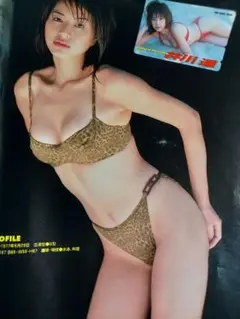 井川遥 グラビア切り抜き トレカ付き 週刊ヤングマガジン No.1045 講談社 週刊ヤングマガジン 2001年4月2日 No.16 井川遥 ビキニ 8ページ