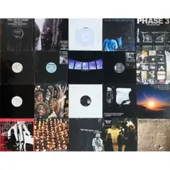 THA BLUE HERB レコードset シングル11枚 アルバム3枚 THA BLUE HERB レコードset シングル11枚 アルバム3枚 - メルカリ