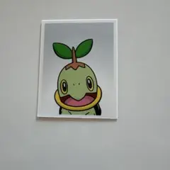 ナエトル 韓国限定★ポケモン ガチャ 証明写真
