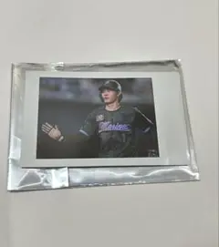 千葉ロッテマリーンズ 藤原選手BSWシークレットチェキ
