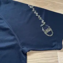 Champion 黒 Tシャツ Lサイズ ゴールドロゴ