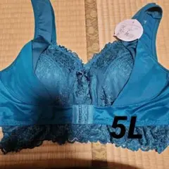 早い者勝ち♥️5Lグリーン レース ブラジャー