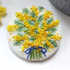 mimosa④