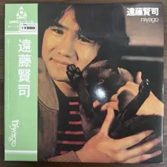 【LP/美品/初版帯付】遠藤賢司 / Niyago URL1014
