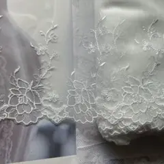 Item thumbnail for item 60862a83-70a1-4318-bb66-ac302b5ee035