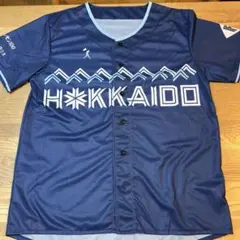 ◾️ファイターズ 来場者プレゼント WE LOVE HOKKAIDO
