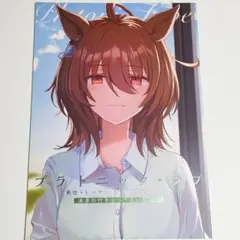 ウマ娘　同人誌　アグネスタキオン　男性トレーナー　Agnes Tachyon
