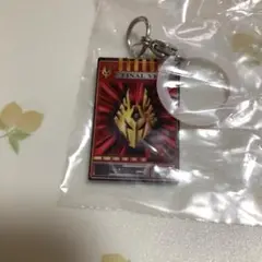 仮面ライダーめじるしアクセサリー2 龍騎