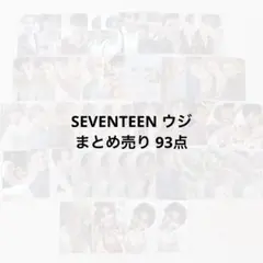 Item thumbnail for item 7cd76ca7-33cf-47ea-9b84-866dc7f815dc