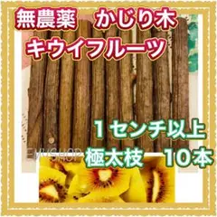 Item thumbnail for item 28f98109-9942-42e3-a4d0-a526600987b9