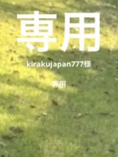 kirakujapan777様専用