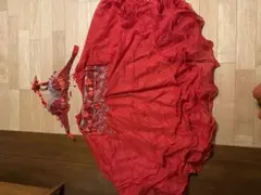 赤いベリーダンスセットアップ