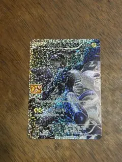 ポケカ　25th anniversary collection ゼクロム