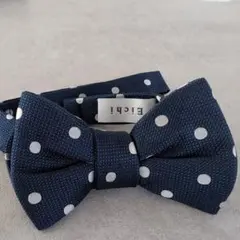 Item thumbnail for item b1655c39-2d3d-4d9b-acbe-23983be6db8a