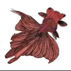 Item thumbnail for item c183aefb-8e99-49c5-a56d-66551d9b30c2