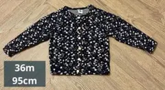 Item thumbnail for item 0ceb4062-1837-4102-8861-310e92404a9b