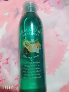 ヘアサロン シャンプー