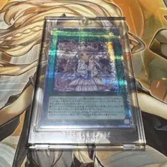 遊戯王　ヴァルモニカ・シェルタ　25th　クオシク