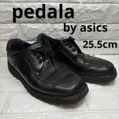 Item thumbnail for item 374e4665-4bd3-4abc-8909-b95c7c32daae