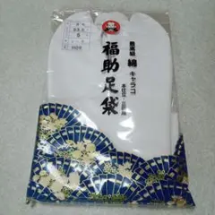 Item thumbnail for item 1b81b226-4608-4e3a-ab16-573d7910b1be