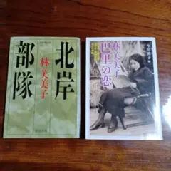 林芙美子中公文庫2冊セットです。