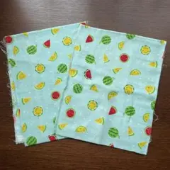 お値下げしました【スイカ柄ダブルガーゼ】 はぎれ108×22 ２枚