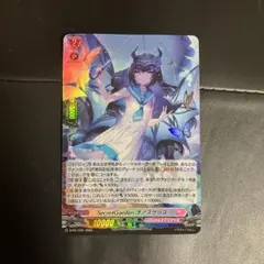 オノスケリス　ホロ