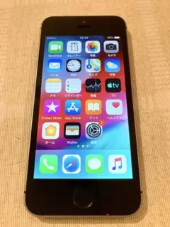 Apple iPhone 5s 64GB A1453