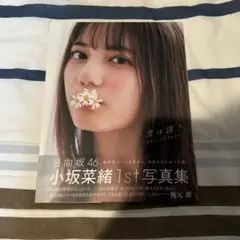 君は誰? 小坂菜緒〈日向坂46〉1st写真集