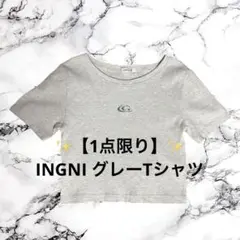 ✨️【1点限り】✨️INGNI グレーTシャツ