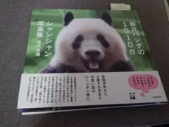 毎日パンダの1010日シャンシャン写真集