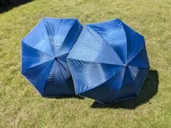 Item thumbnail for item 0eff77be-724e-46fa-a2dc-311177f42387