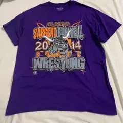 【古着】夏物 Tシャツ 紫 メンズ サイズ不明MorLかと思います。