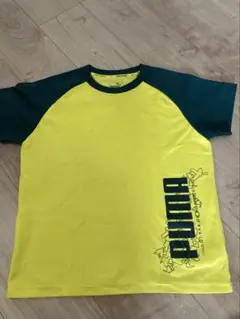 Item thumbnail for item fa7344af-77bb-43fc-8412-61e034f32f6d