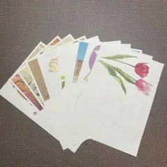 大人の塗り絵