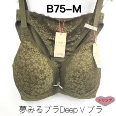 Item thumbnail for item 50218521-d5a8-4a82-9ab8-b783b76c7c25