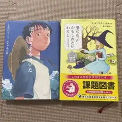 ぼくはうそをついた & 魔女だったかもしれないわたし 2冊セット