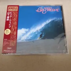 新品 未開封 山下達郎 CD ビッグ・ウェイブ 30周年記念限定