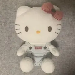 2025年最新】キティ ぬいぐるみ edwinの人気アイテム - メルカリ