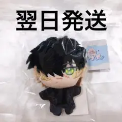 新品未開封　スロウダメージ トワ　ぬいパル　キラメモ展②