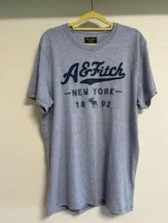 Abercrombie & Fitch アバクロ 半袖Tシャツ 新品
