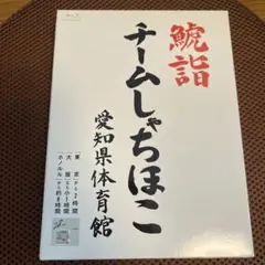 チームしゃちほこ/鯱詣2015 at 愛知県体育館