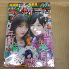 週刊少年サンデー　2019 2.3　与田・山下ポスター付き